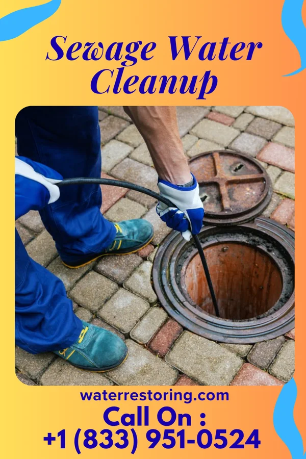Sewage Water Cleanup in Westerville, OH